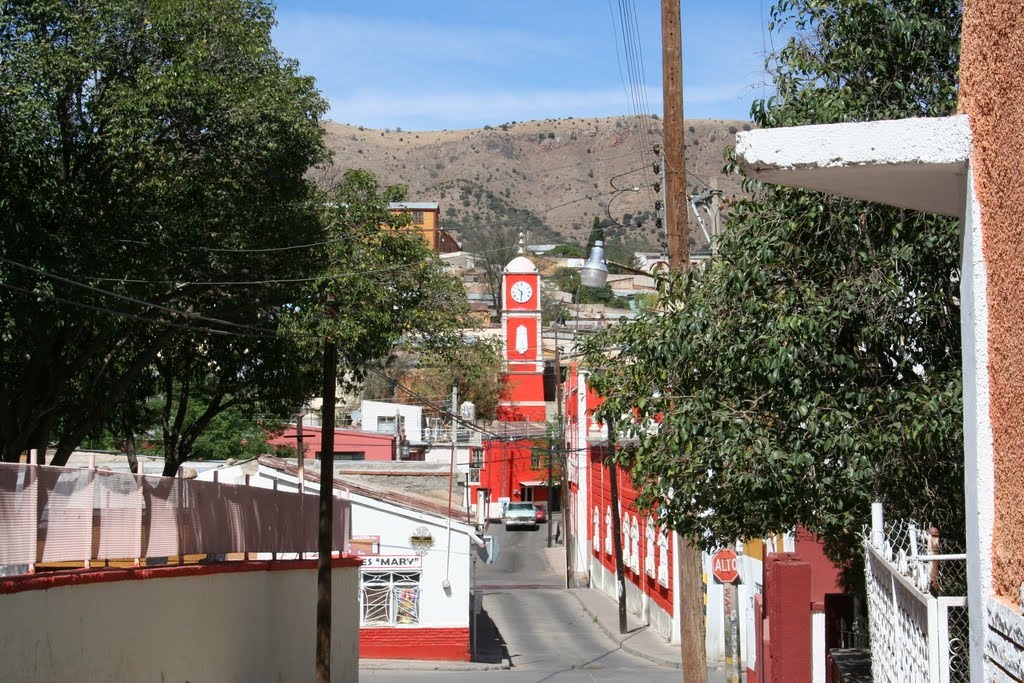 Mi Tierra Santa